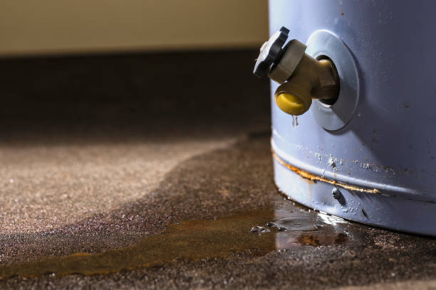 Best Professional water damage repair  in Pensacola Station, FL