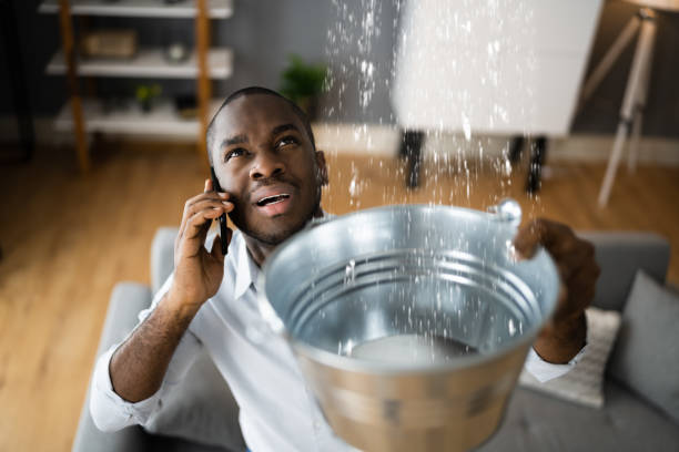 Best Basement water damage restoration  in Pensacola Station, FL