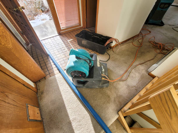 Best Fire Damage Restoration  in Pensacola Station, FL