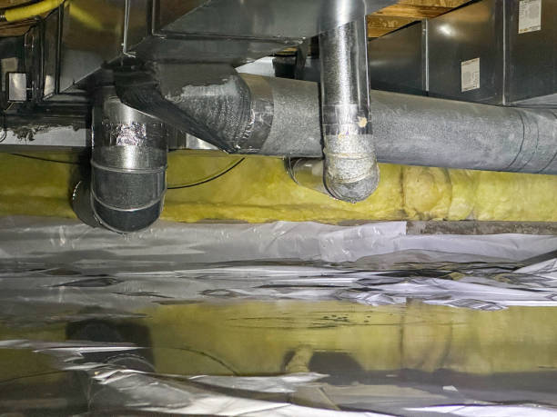 Best 24-hour water damage restoration  in Pensacola Station, FL